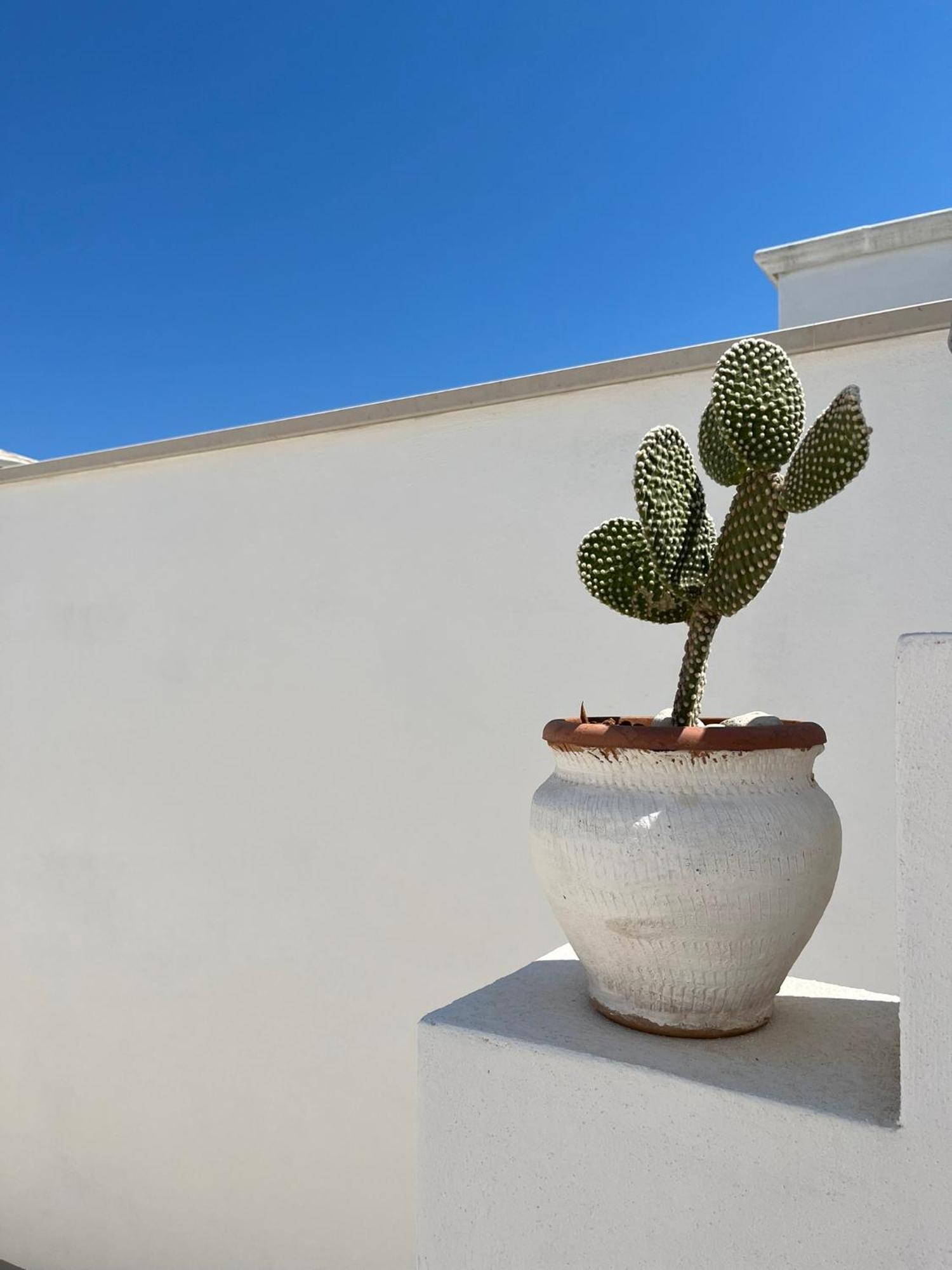 Apartamento El-Mar Locazione Turistica House With Exclusive Terrace Polignano a Mare Exterior foto