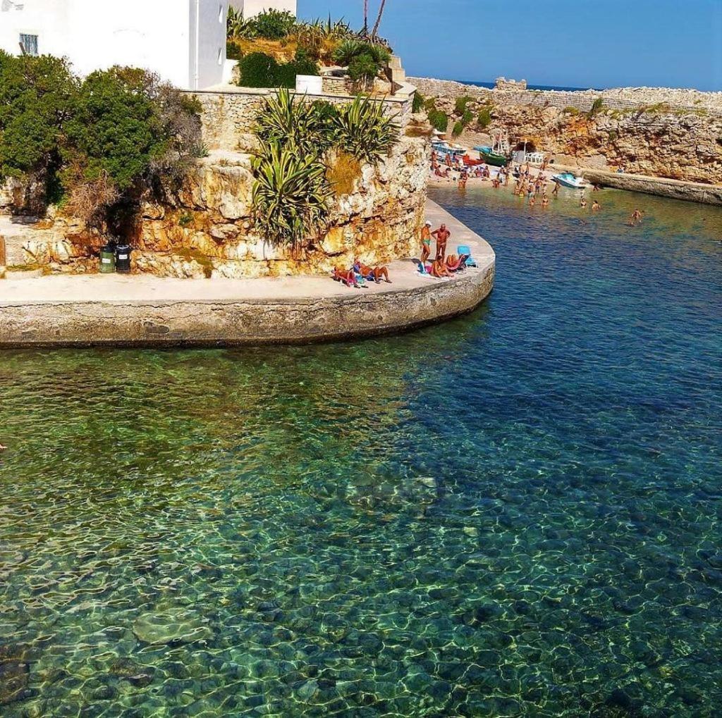 Apartamento El-Mar Locazione Turistica House With Exclusive Terrace Polignano a Mare Exterior foto